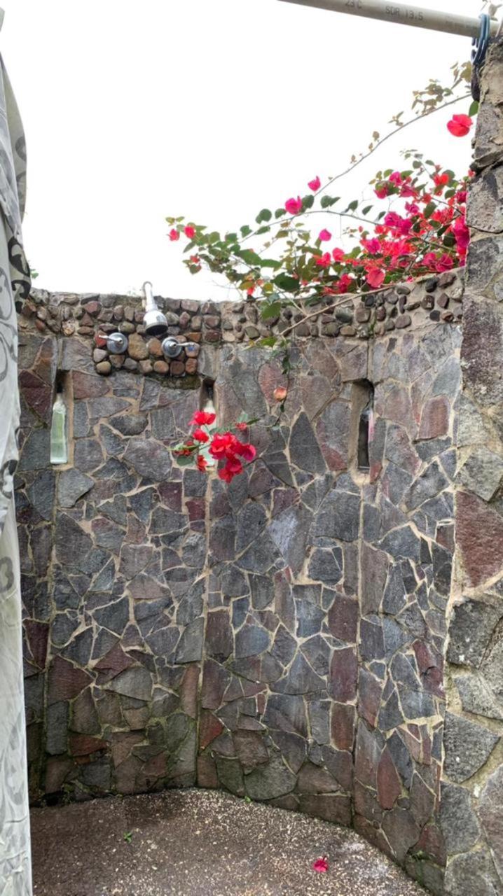 Lodge Neblina Del Bosque