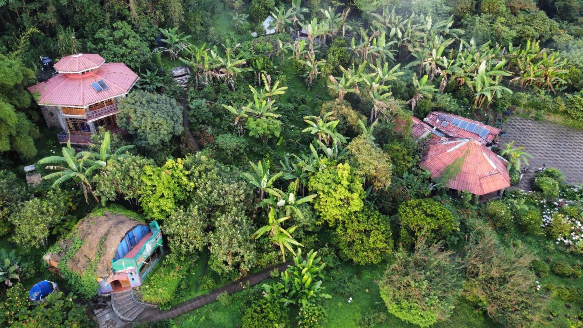 Neblina Del Bosque Lodge
